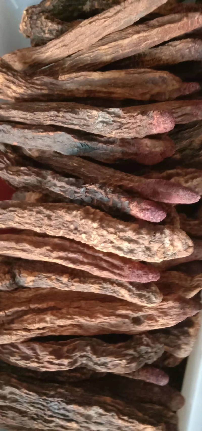 瓜州锁阳城精品锁阳，特此推荐全国各地老板欢迎选购