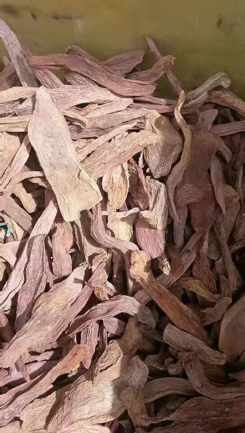瓜州锁阳城精品锁阳，特此推荐全国各地老板欢迎选购