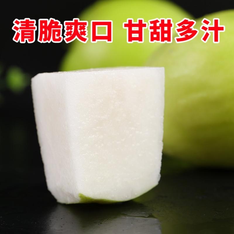【包邮-20斤牛奶枣】热销10斤20斤台湾大青枣牛奶枣