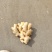 山东万亩优质新姜红芽姜大量上市各种生姜大量批发