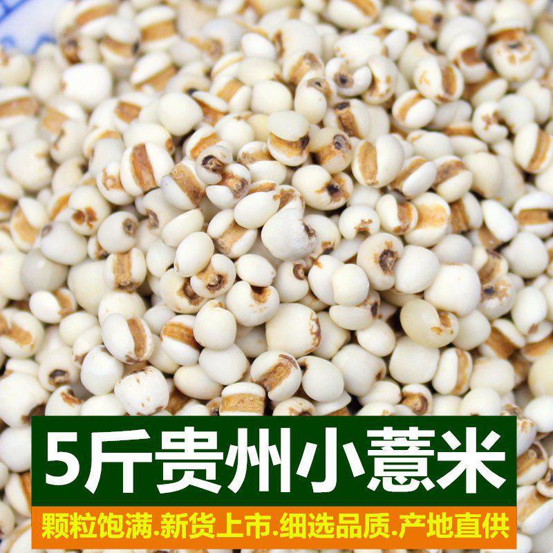 产地贵州小薏米新货农家薏仁米薏米仁五谷杂粮粗粮批发包邮
