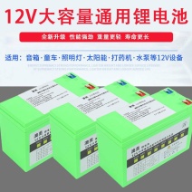 电动喷雾器锂电池12v8a电瓶背负式打药机配件专用农用大