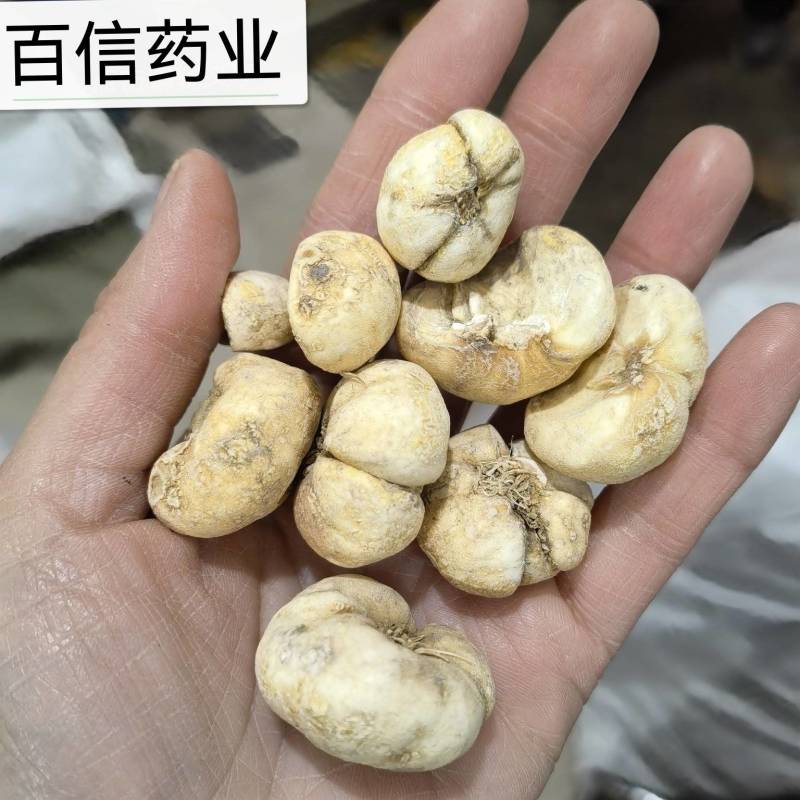 浙贝浙贝个产地采购一手货源量大从优欢迎选购