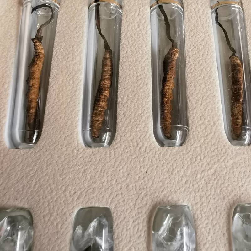 浙贝浙贝个产地采购一手货源量大从优欢迎选购