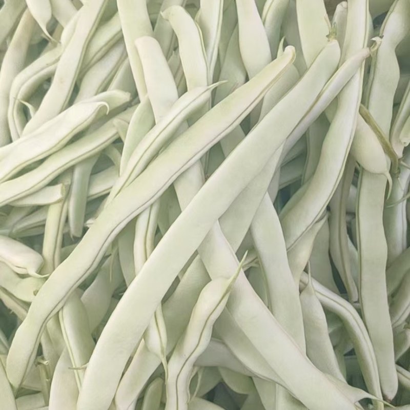 芸豆，精品芸豆大量上市，品质保证，货量充足，欢迎新老客户