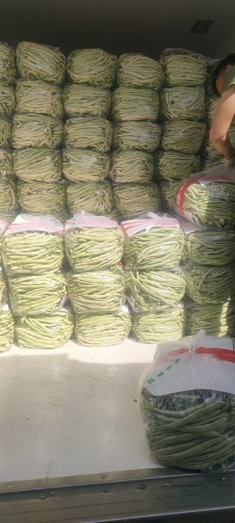 芸豆，精品芸豆大量上市，品质保证，货量充足，欢迎新老客户