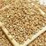 云南西盟佤山米荞特产荞麦米纯杂粮全胚芽可批发米苦荞米包邮