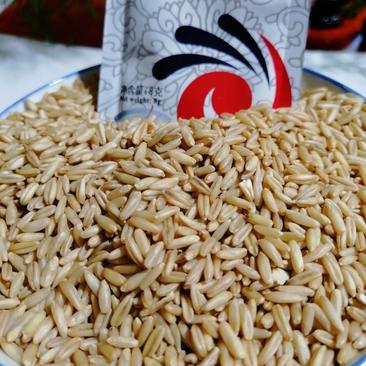 厂家5斤甘肃特产莜麦子莜麦米会宁莜麦甜胚原材料