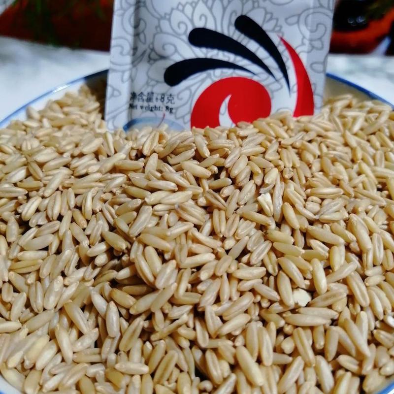 厂家5斤甘肃特产莜麦子莜麦米会宁莜麦甜胚原材料