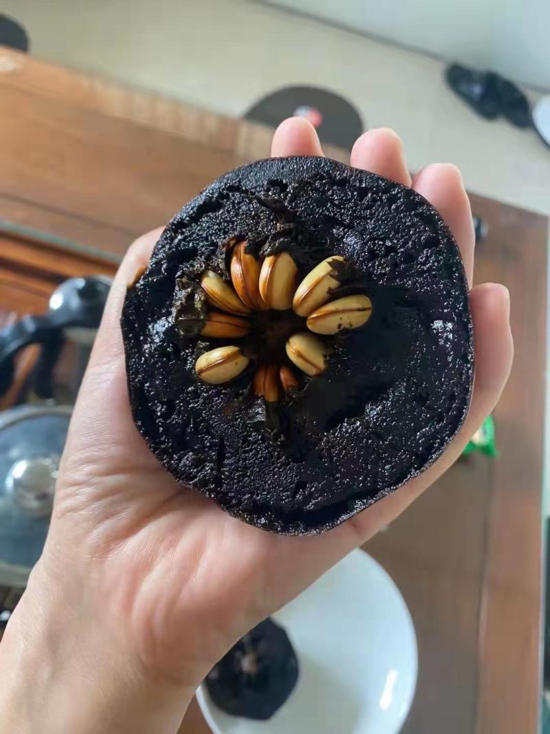 巧克力布丁果也叫黑柿四季开花结果的实生苗嫁接苗结