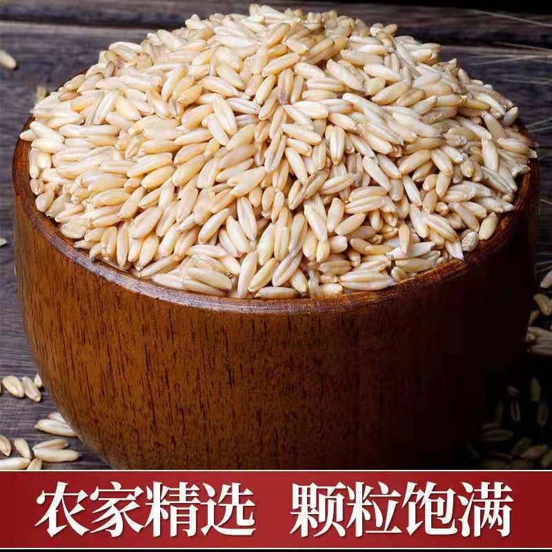汾都香新货燕麦米5斤农家自种燕麦仁全胚芽燕麦五谷杂粮5斤