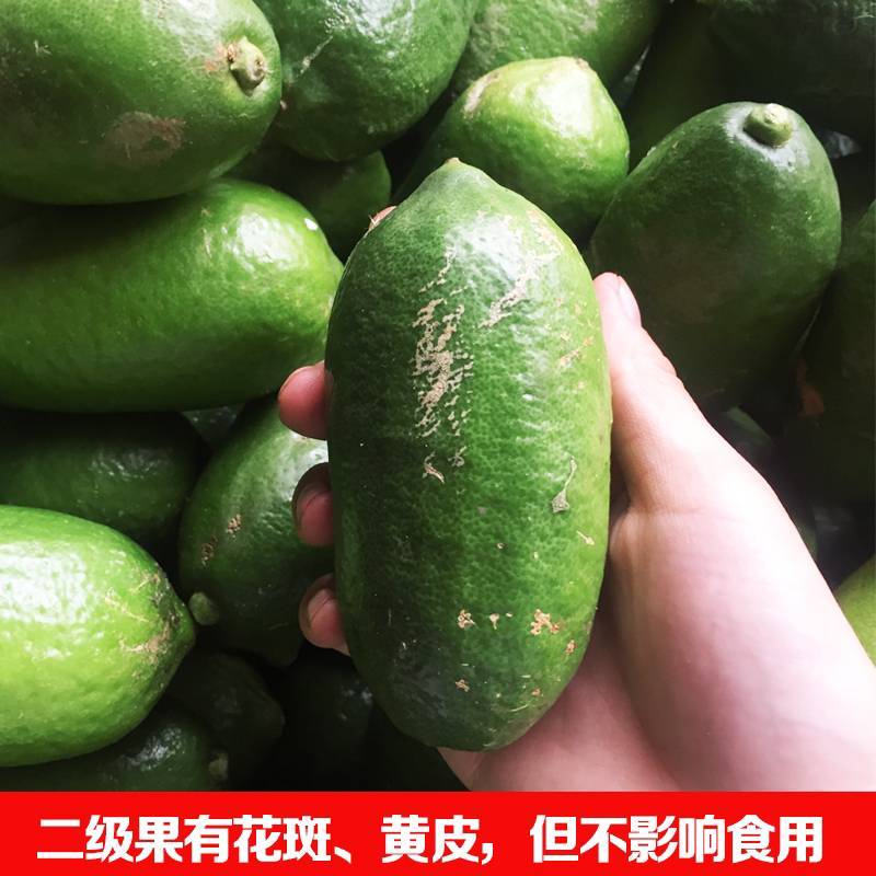 海南无籽香水柠檬香水柠檬一件代发一件代发批发