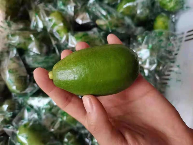海南无籽香水柠檬香水柠檬一件代发一件代发批发