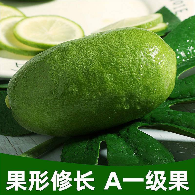 海南无籽香水柠檬香水柠檬一件代发一件代发批发