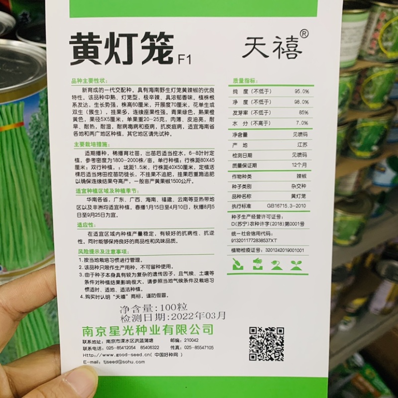 特辣海南野生黄灯笼辣椒种子耐热耐湿耐旱抗病毒灯笼椒