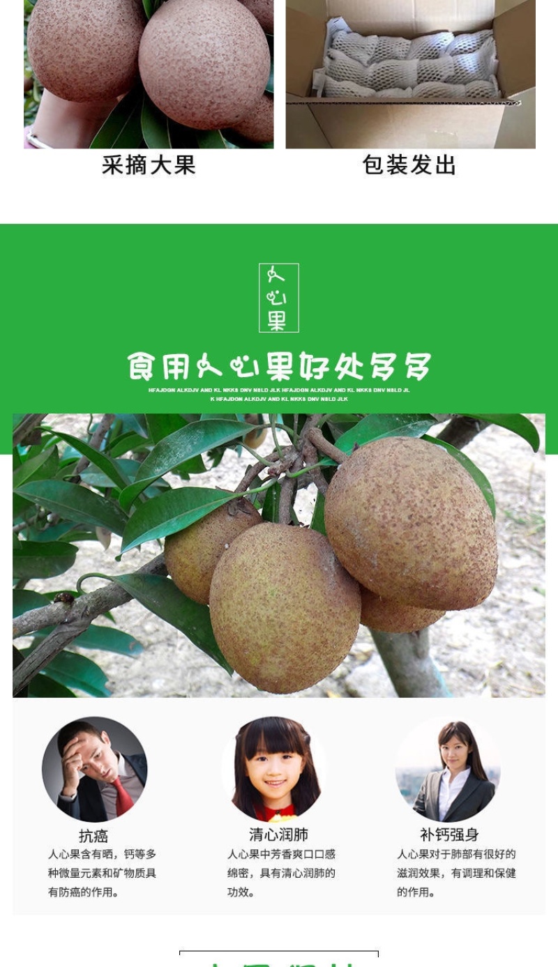 【包邮-20斤人心果】热销新鲜5斤20斤从化人心果