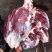 新鲜的大西北黄牛肉，每天现杀现宰，不注水纯干肉，肉质浓郁