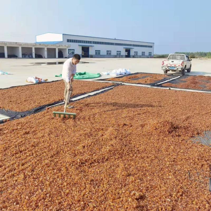桃胶人工精修360度修剪圆珠湖北随县源头工厂一手货源批发