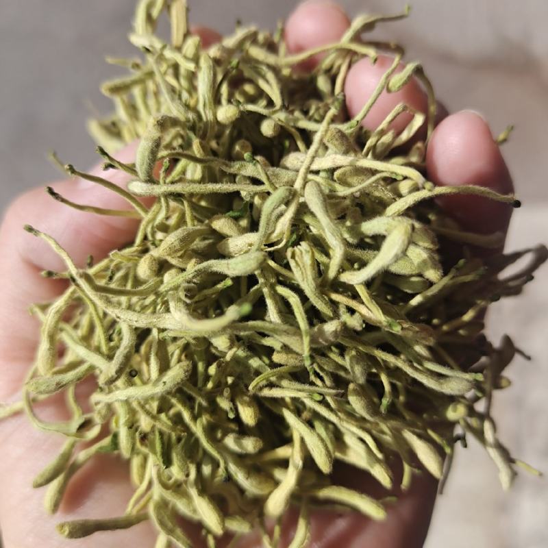 金银花中药二花河南金银花干货新货无硫花茶金银花