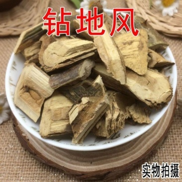 云南野生中药材钻地风，优质正品，500g起发