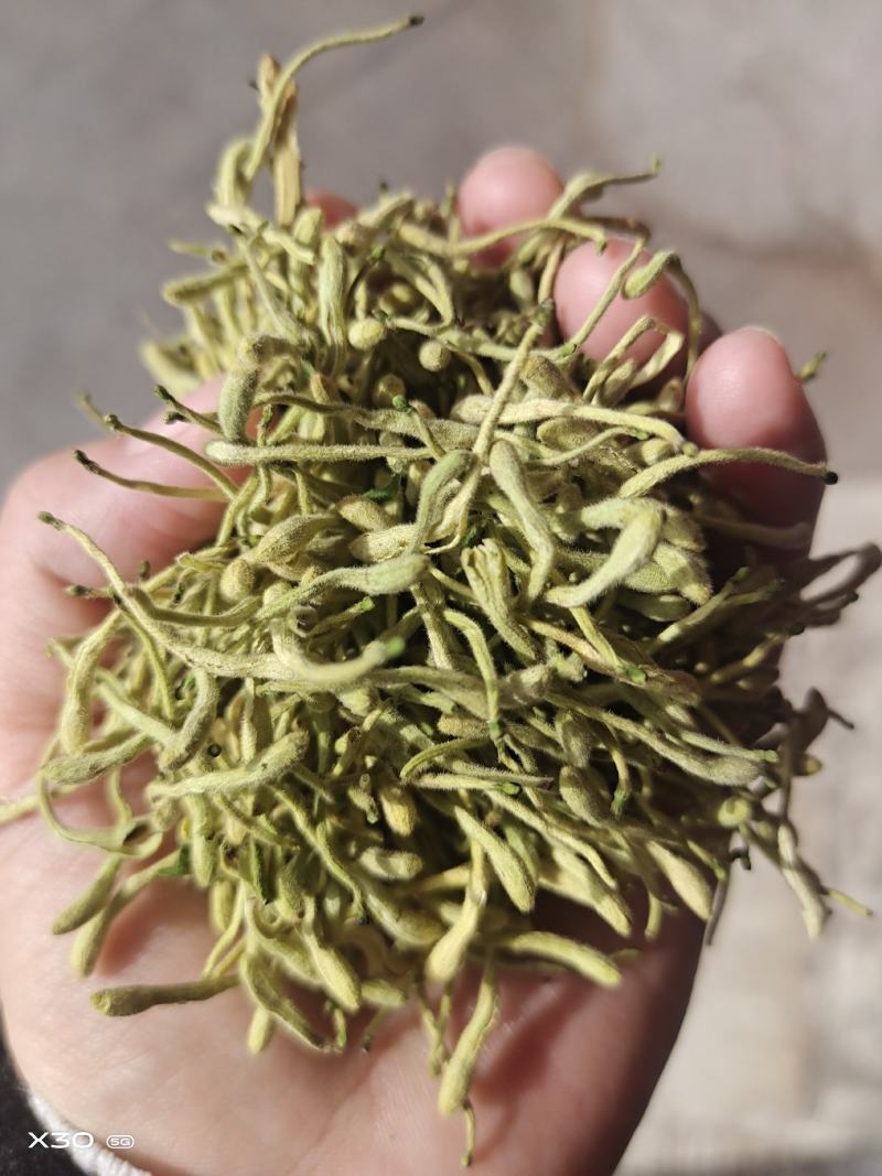 金银花中药二花河南金银花干货新货无硫花茶金银花