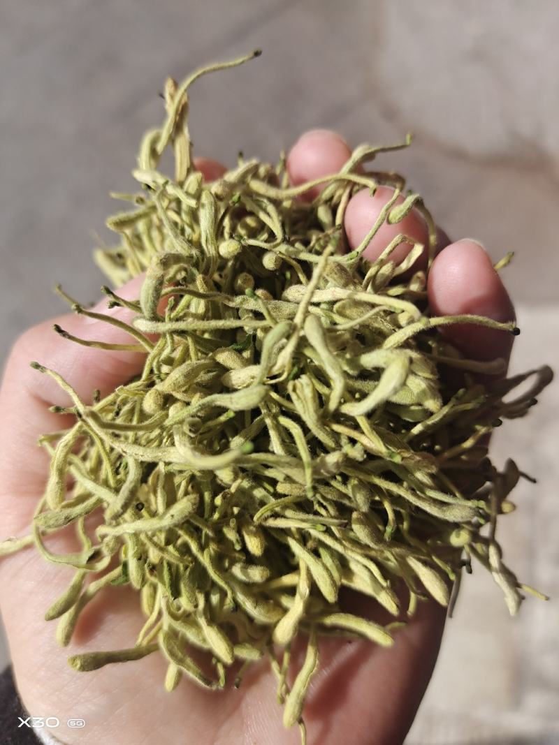 金银花中药二花河南金银花干货新货无硫花茶金银花