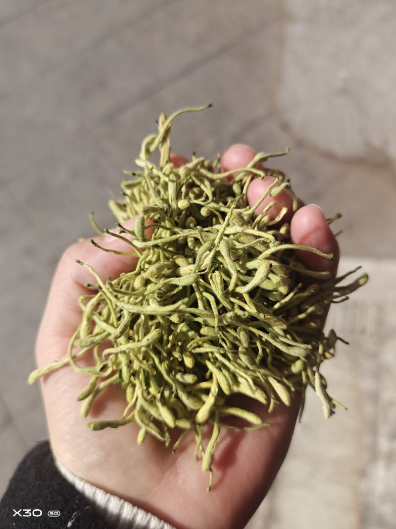 金银花中药二花河南金银花干货新货无硫花茶金银花