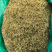 金银花中药二花河南金银花干货新货无硫花茶金银花