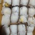 [荐]鸭梨精品上市河北鸭梨产地发货货量充足