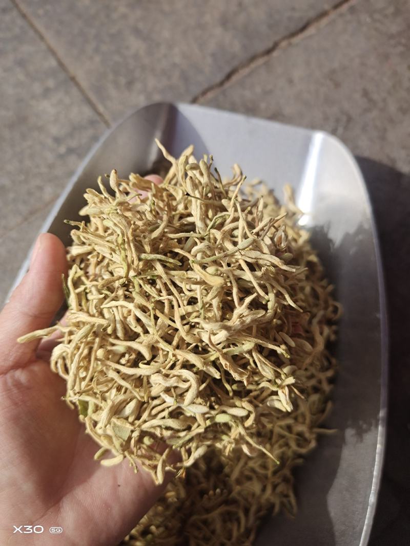 金银花中药二花山东金银花无硫干货花茶金银花大货