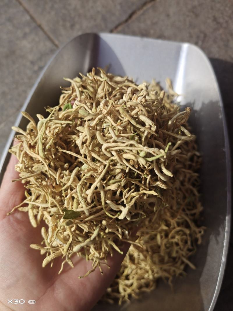 金银花中药二花山东金银花无硫干货花茶金银花大货