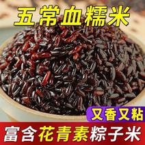 【新米】东北新黑糯米农家自产血糯米紫糯米粽子米饭五谷杂粮