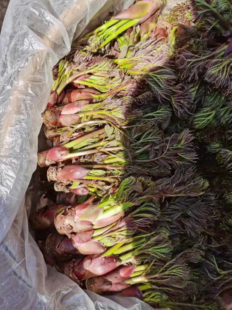 大山深处的原生态绿色食品，纯野生刺老包。
