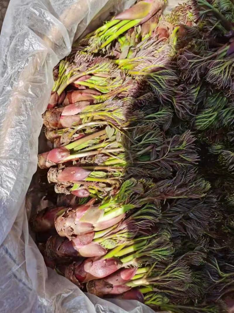 大山深处的原生态绿色食品，纯野生刺老包。