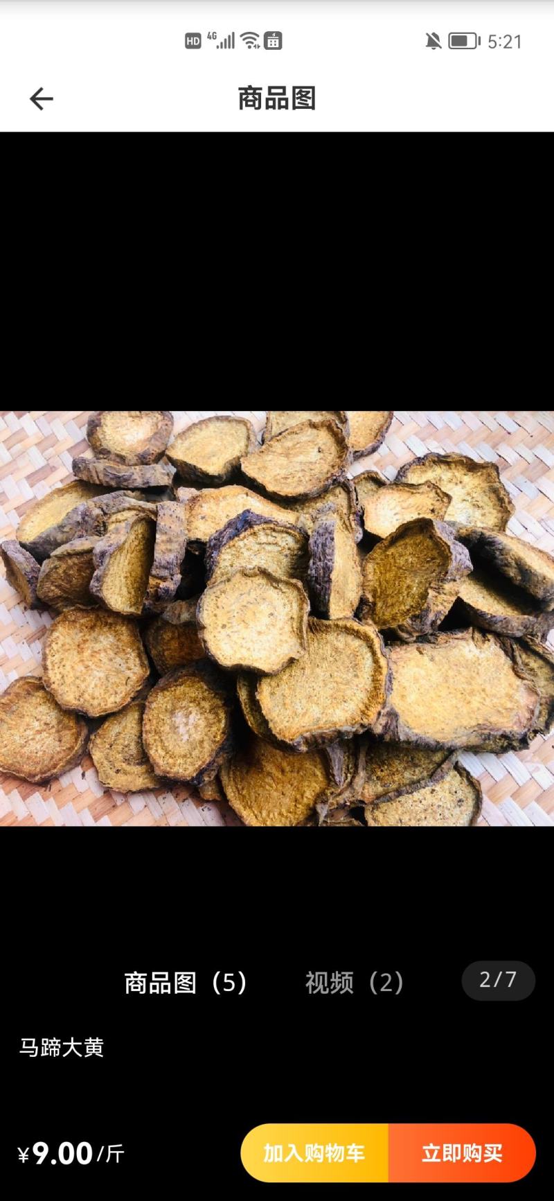 药用大黄