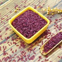 厂家竹香米紫薯米5斤大米伴侣2斤香米彩色长粒大米批发包邮