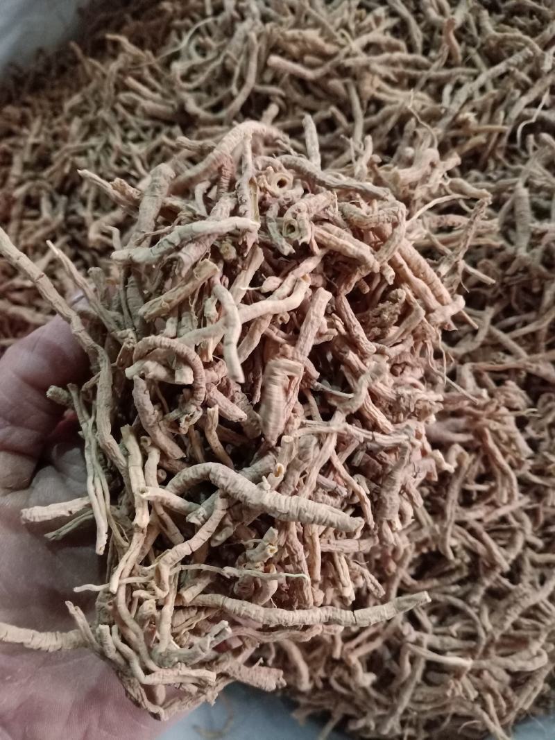 远志，中药材远志远志筒质量保证现货供应欢迎咨询合作！