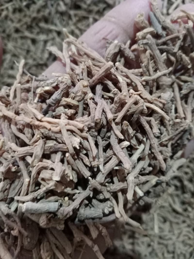 远志，中药材远志远志筒质量保证现货供应欢迎咨询合作！