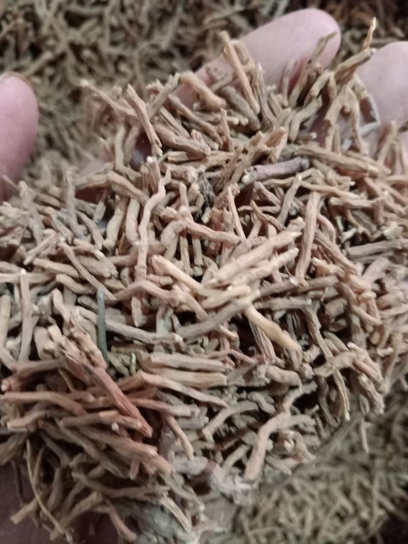 远志，中药材远志远志筒质量保证现货供应欢迎咨询合作！