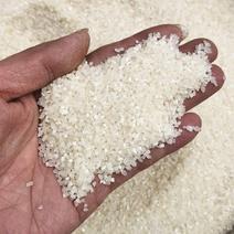 厂家饲料原料碎米喂鸡碎大米低价小碎米批发包邮碎米