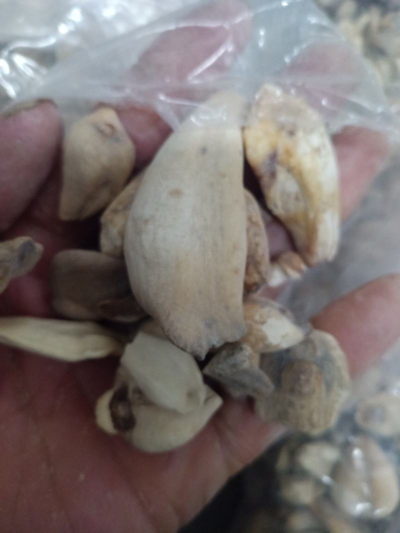 中药材秋水仙正品质量保证经营各种中药欢迎咨询选购！