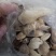 中药材秋水仙正品质量保证经营各种中药欢迎咨询选购！
