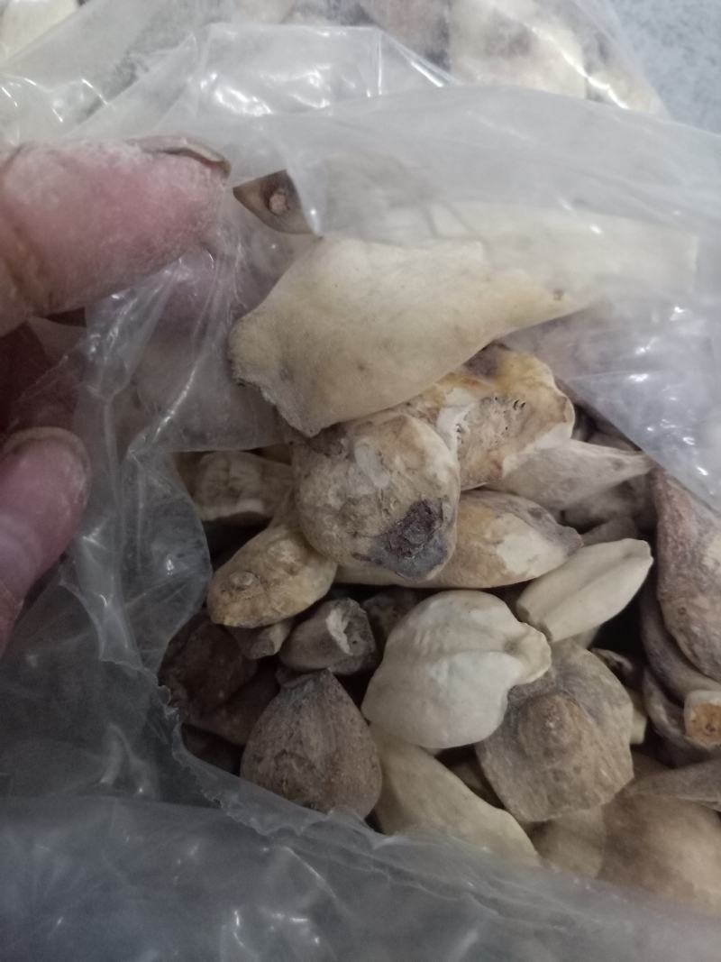 中药材秋水仙正品质量保证经营各种中药欢迎咨询选购！