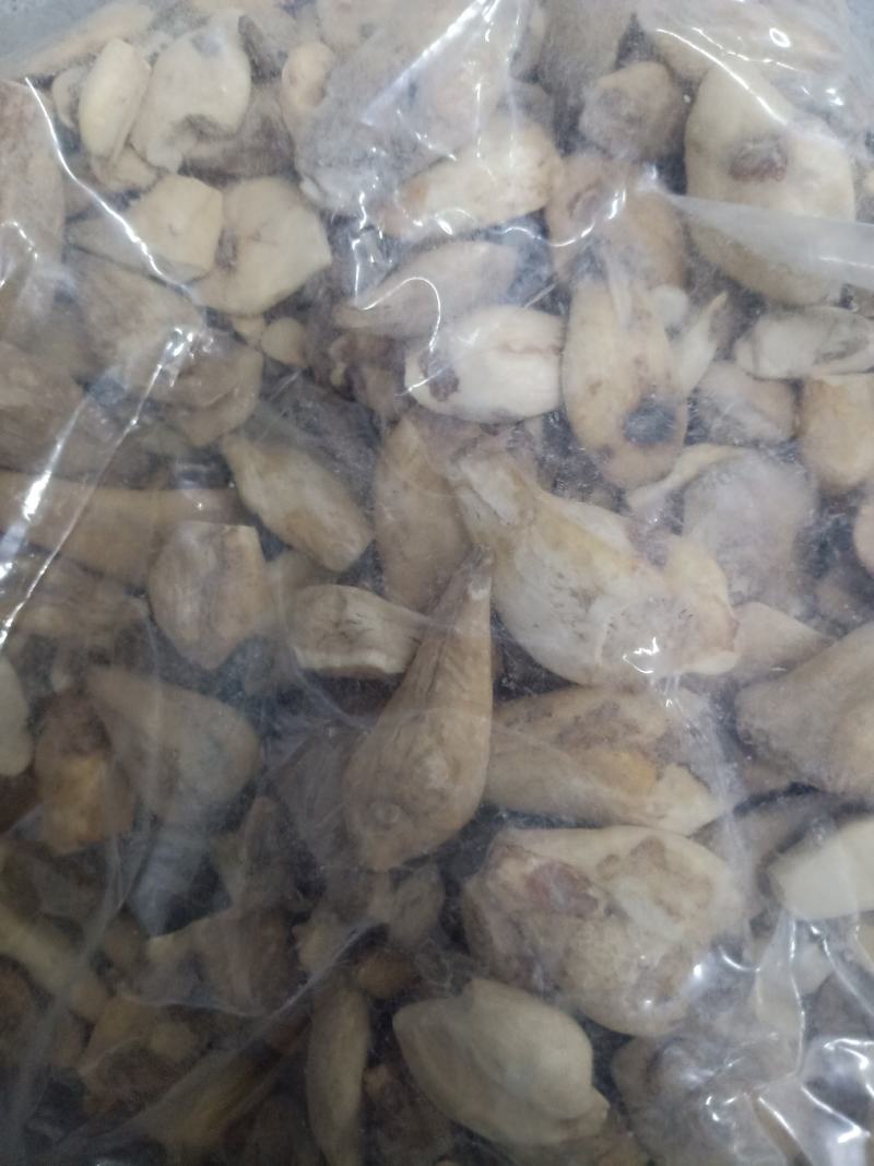 中药材秋水仙正品质量保证经营各种中药欢迎咨询选购！