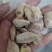 中药材秋水仙正品质量保证经营各种中药欢迎咨询选购！