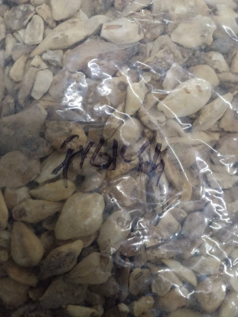 中药材秋水仙正品质量保证经营各种中药欢迎咨询选购！