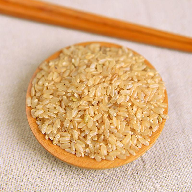 糙米5斤装杂粮米粗粮胚芽糙米饭五谷杂粮饭健身餐糟米东北糙