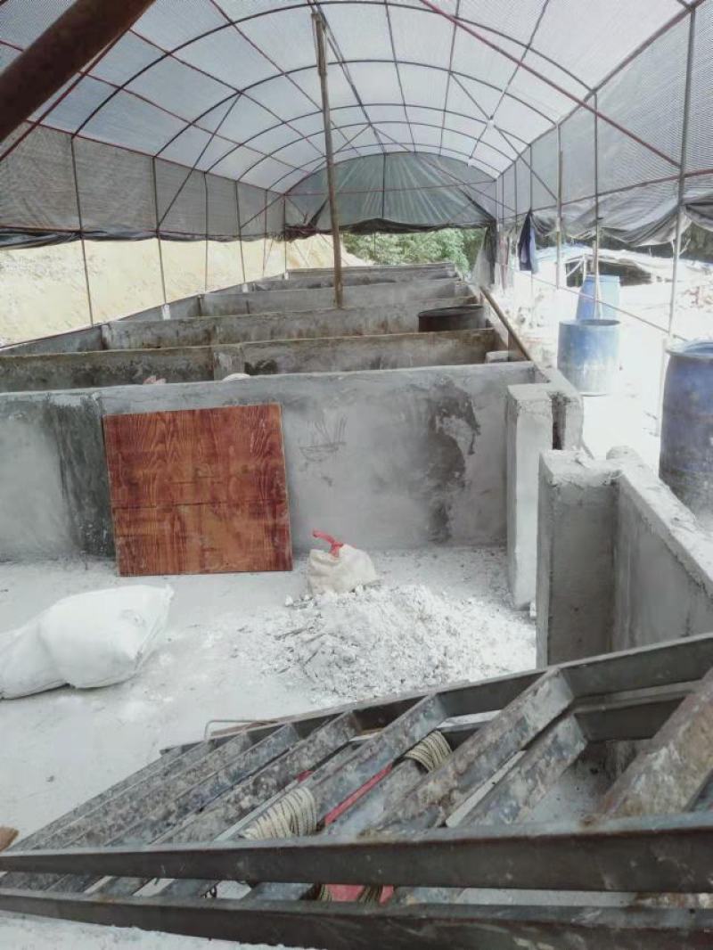 新建猪舍（可以养鸡鸭鹅羊牛）120多亩山地，交通方便，已