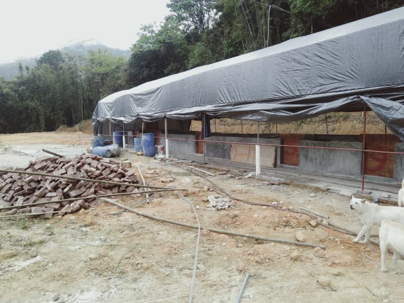 新建猪舍（可以养鸡鸭鹅羊牛）120多亩山地，交通方便，已