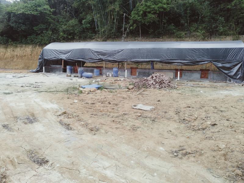 新建猪舍（可以养鸡鸭鹅羊牛）120多亩山地，交通方便，已